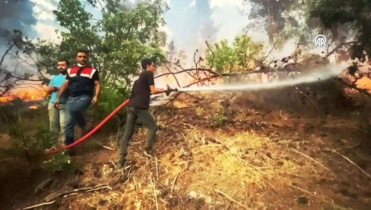 Kahramanmaraş'ta orman yangını - Resim: 4